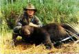 Román medve- és farkaskilövési kvóta  