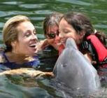 Delfinterápia kereszttûzben
