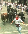 Sérültek tucatjai a legutóbbi pamplonai bikafuttató fesztiválon