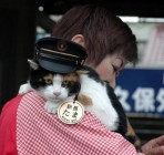 Milliókat hoz a Japán vasútnak a kabalamacska
